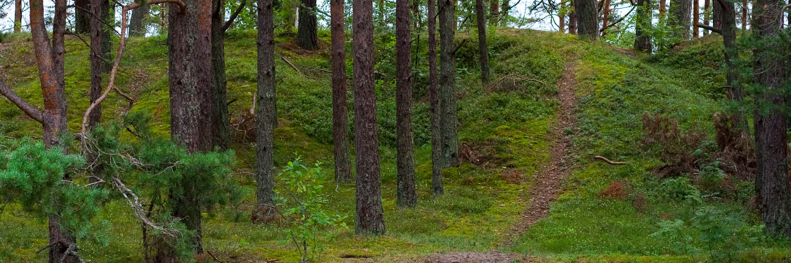 GeoStrips - author: Fotoaģentūra F/13 (http://f13.fotoagentura.com/)